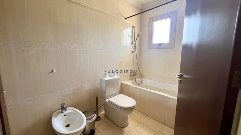 595m² House for Rent in Dhekelia, Larnaca District