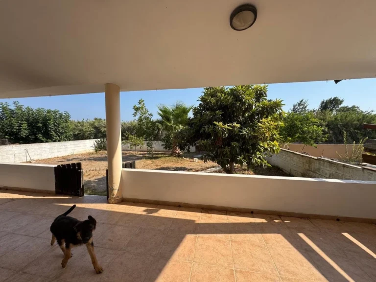 Cheap Houses and Villas for Rent Larnaca