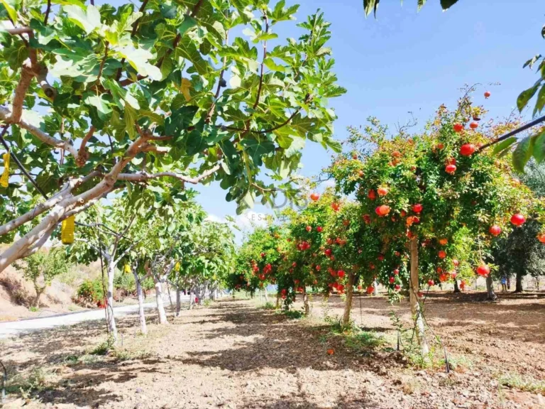 Cheap Houses and Villas for Sale Nicosia up to 900000 euro