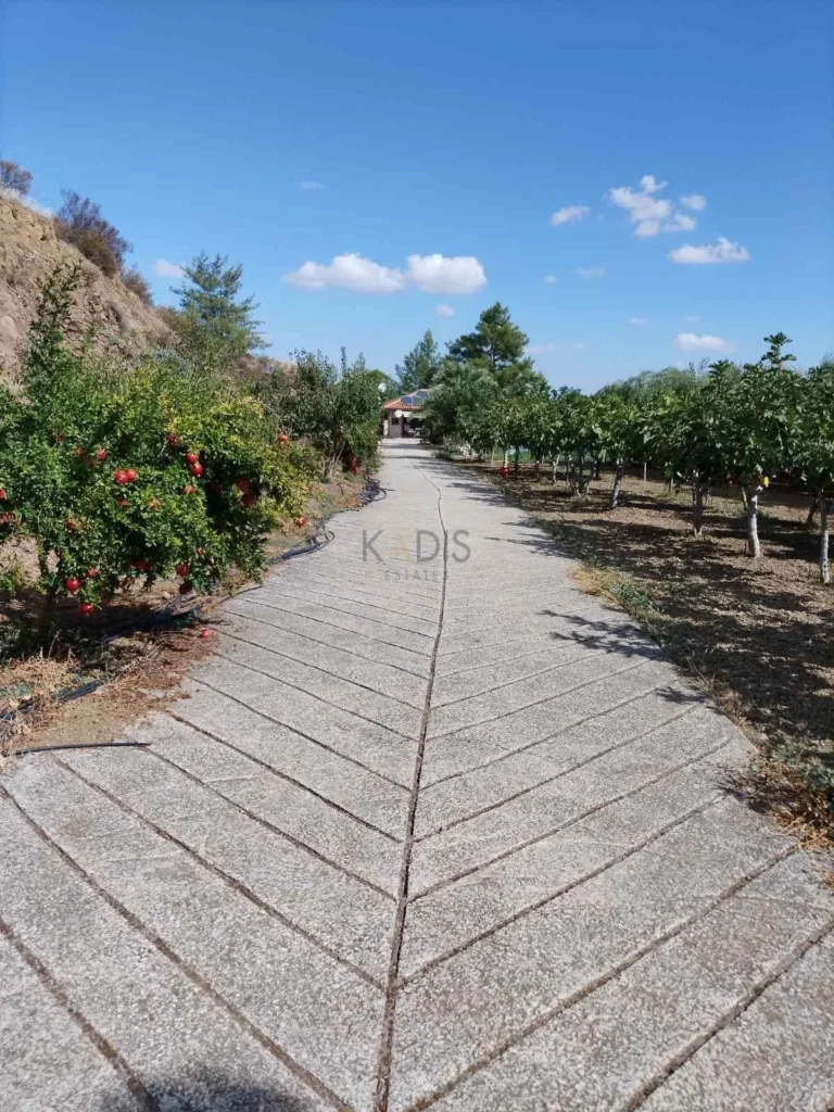 Cheap Houses and Villas for Sale Nicosia up to 900000 euro