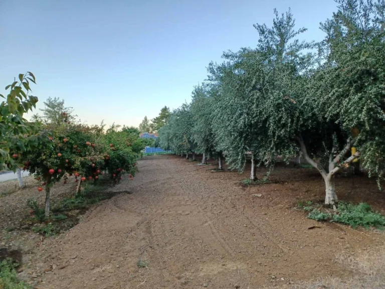 2 Bedroom House for Sale in Klirou, Nicosia District