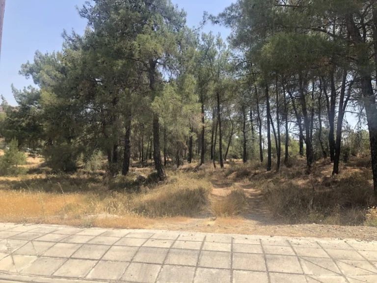 1,654m² Plot for Sale in Kornos, Larnaca District