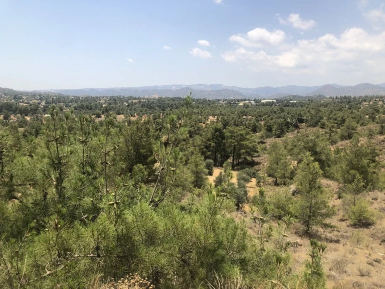 1,633m² Plot for Sale in Kornos, Larnaca District