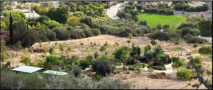 for Sale in Nikokleia, Paphos District