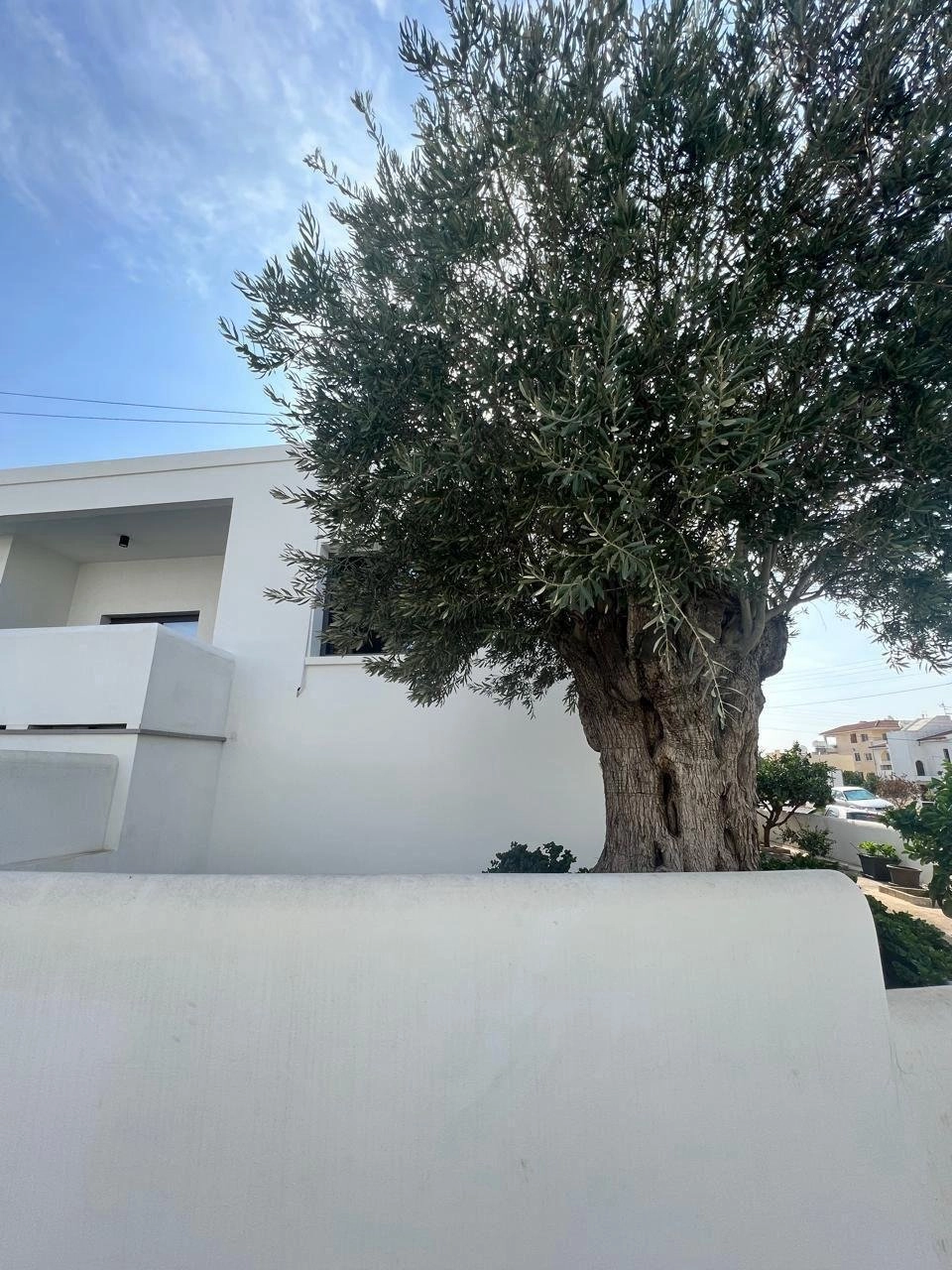 300m² Office for Rent in Limassol – Kapsalos