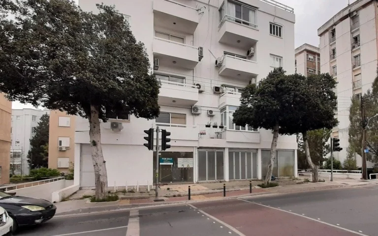 264m² Commercial for Sale in Agioi Omologites, Nicosia District