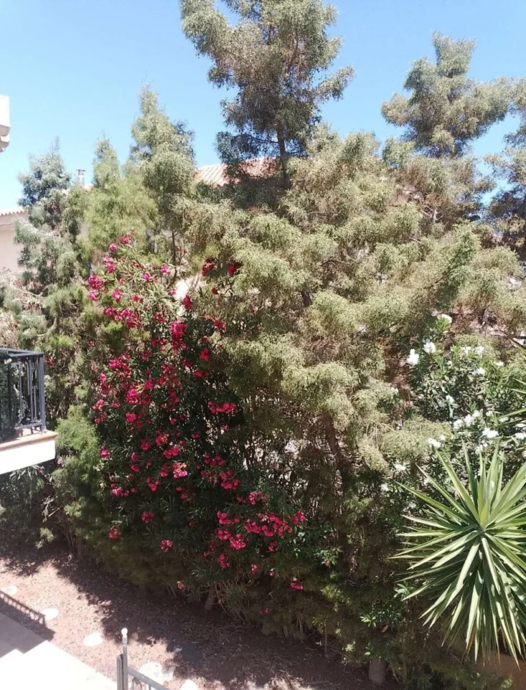 4 Bedroom House for Sale in Mouttagiaka, Limassol District