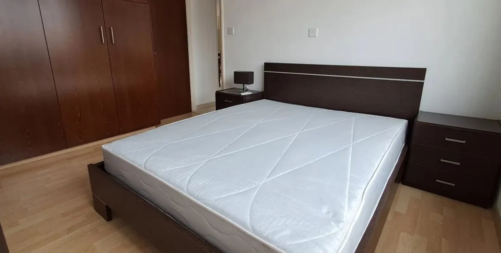 2 Bedroom Apartment for Rent in Limassol District