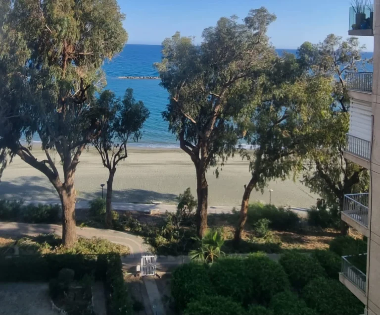 3 Bedroom Apartment for Rent in Limassol District