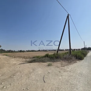 7,569m² Plot for Sale in Zygi, Larnaca District
