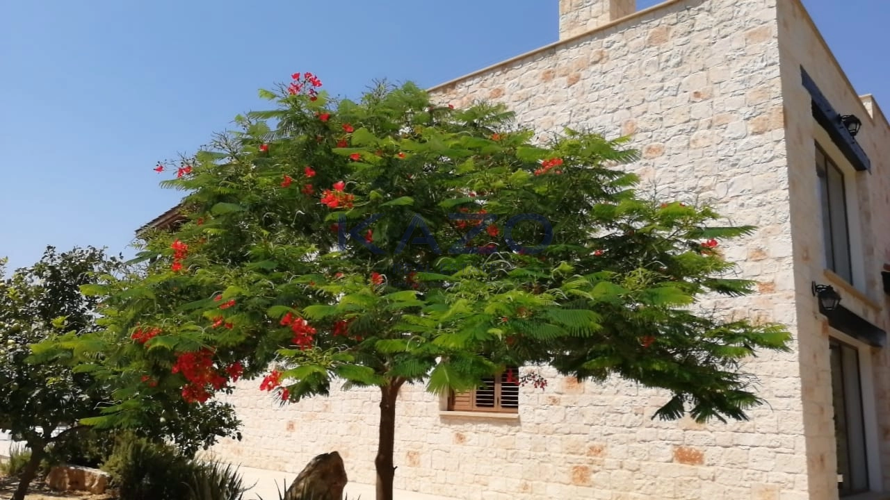 330m² House for Sale in Paphos District