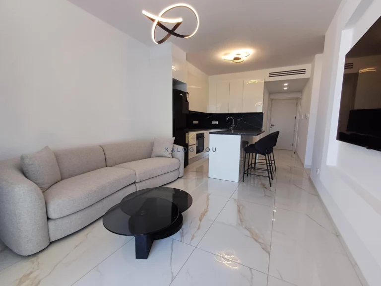 1 Bedroom Apartment for Rent in Larnaca District