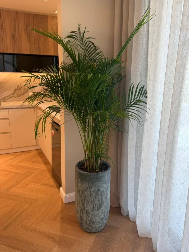 2 Bedroom Apartment for Sale in Potamos Germasogeias, Limassol District