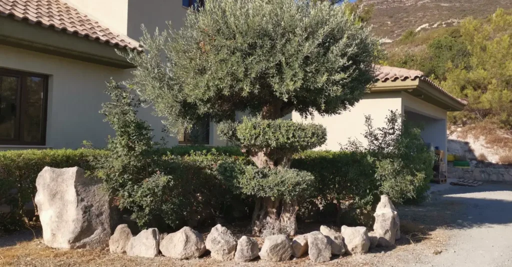 5 Bedroom House for Sale in Akrounta, Limassol District