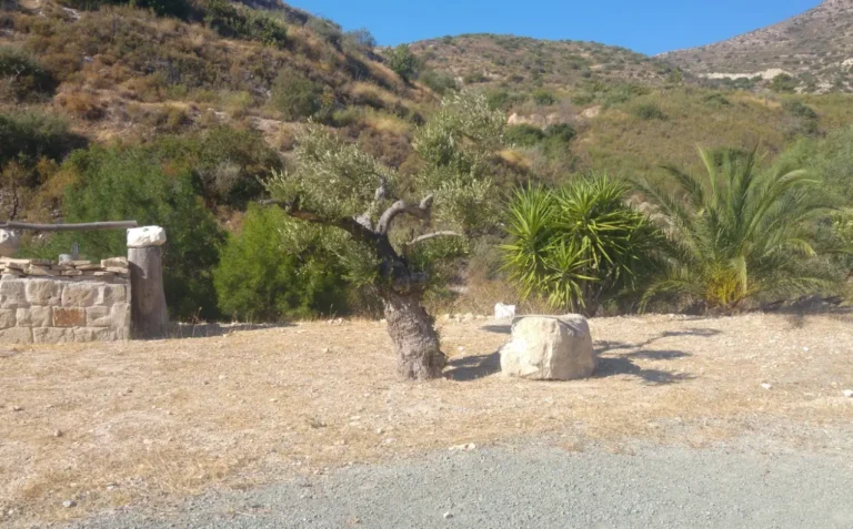 5 Bedroom House for Sale in Akrounta, Limassol District