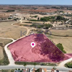 8,750m² Plot for Sale in Avgorou, Famagusta District