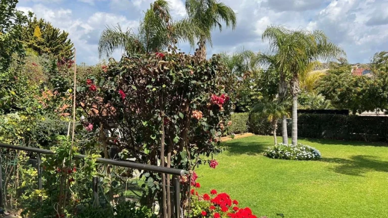 5 Bedroom House for Sale in Limassol – Agios Athanasios