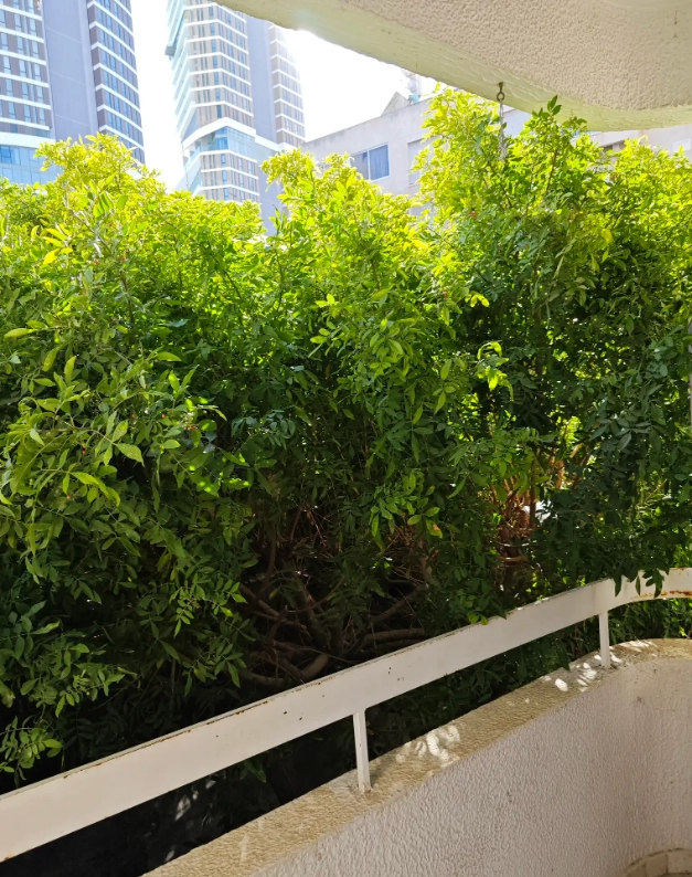 3 Bedroom Apartment for Sale in Limassol – Neapolis