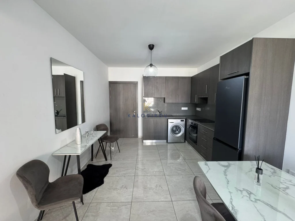 2 Bedroom Apartment for Rent in Larnaca District