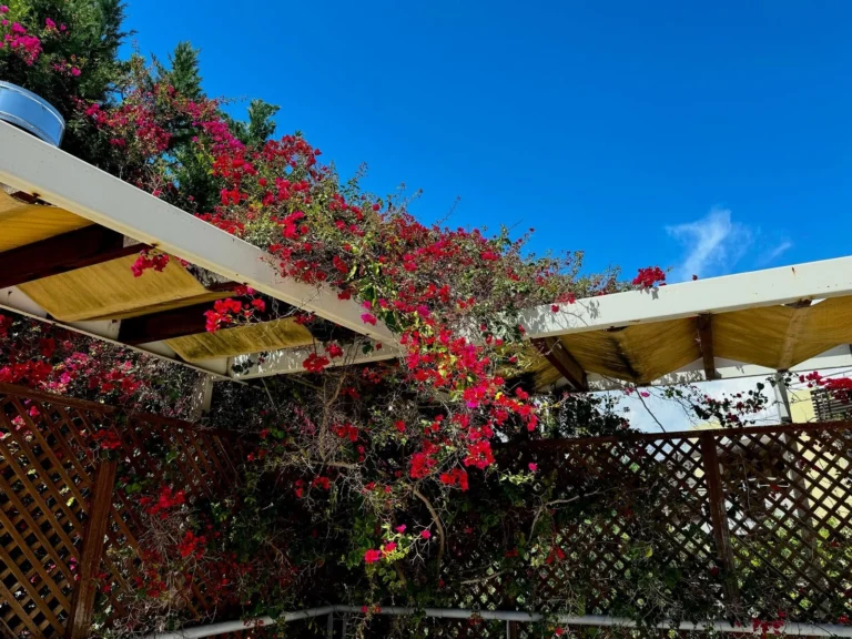 3 Bedroom House for Sale in Agios Tychonas, Limassol District