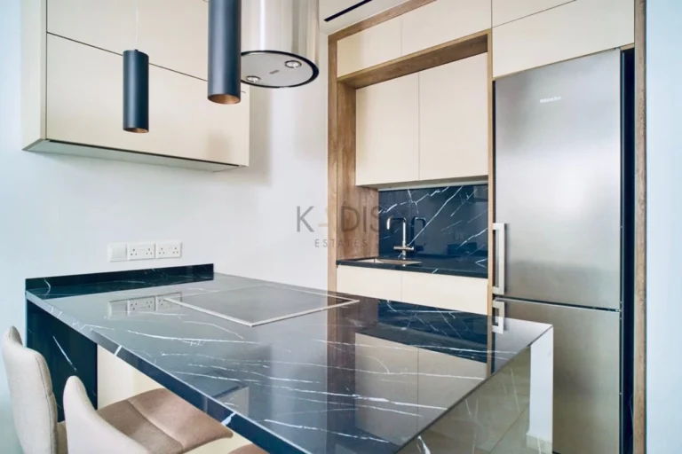 1 Bedroom Apartment for Rent in Limassol District