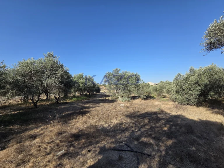 2,340m² Plot for Sale in Erimi, Limassol District
