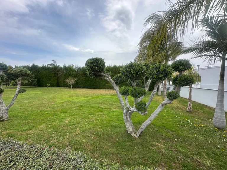 4 Bedroom House for Rent in Moni, Limassol District