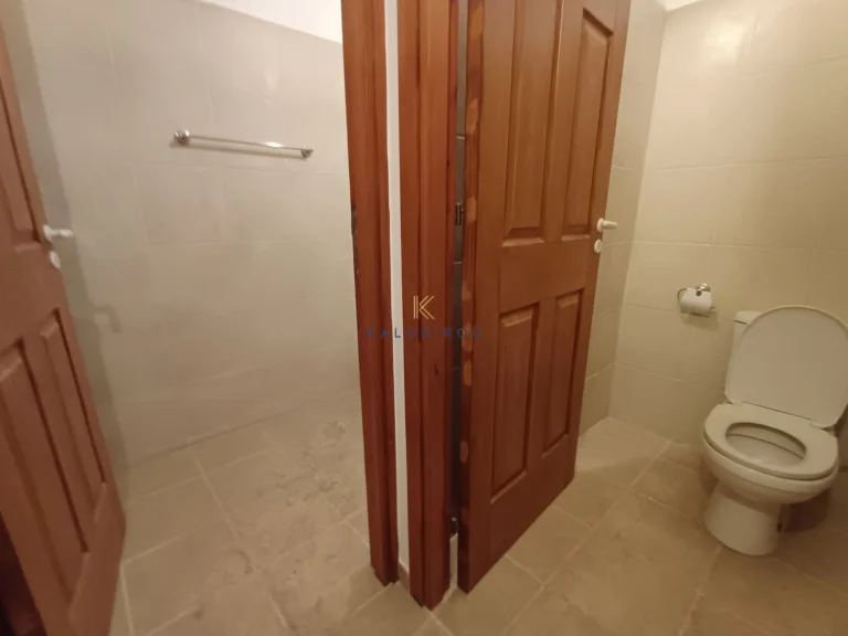 620m² Commercial for Rent in Aradippou, Larnaca District