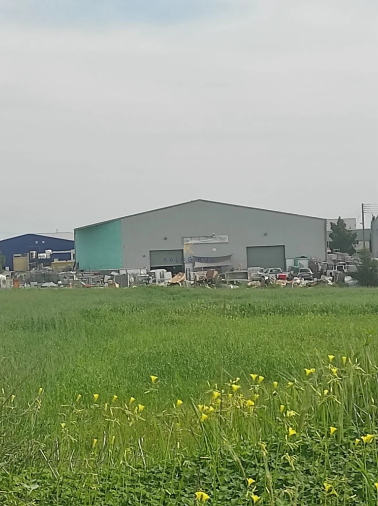 1110m² Commercial for Sale in Aradippou, Larnaca District