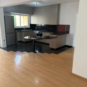 3 Bedroom Apartment for Rent in Nicosia District