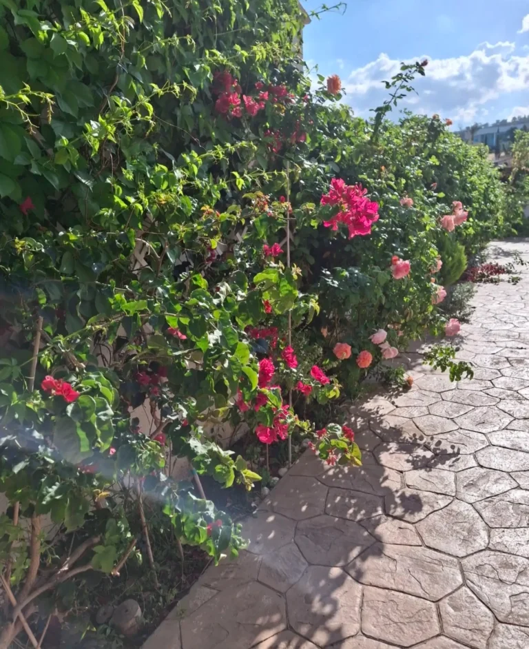 4 Bedroom House for Rent in Oroklini, Larnaca District