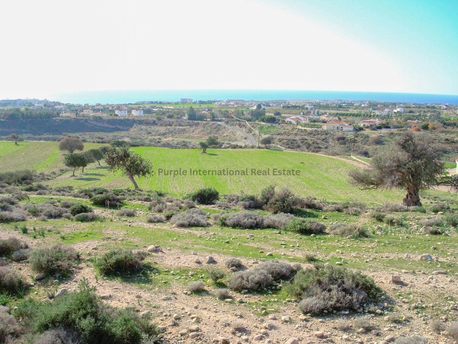 12,496m² Plot for Sale in Peyia, Paphos District