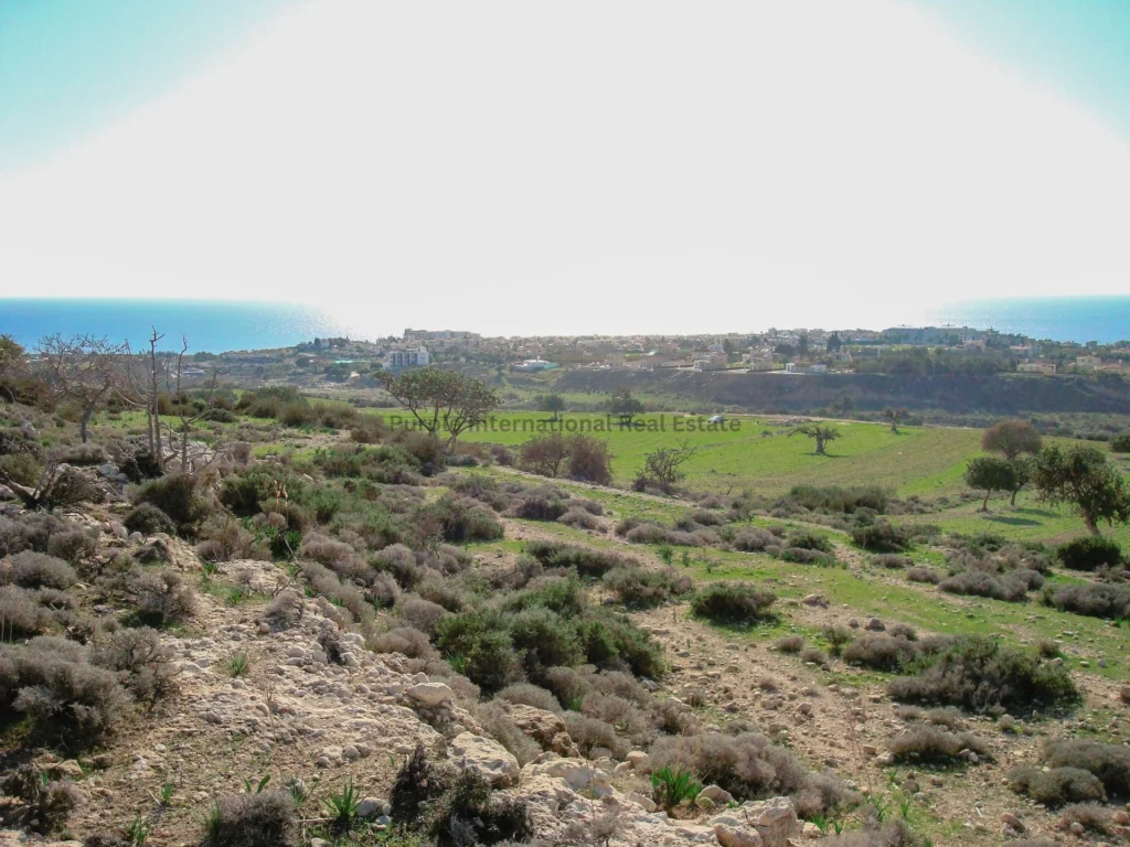 12,496m² Plot for Sale in Peyia, Paphos District