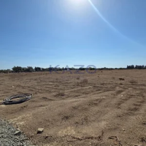 7,944m² Plot for Sale in Zygi, Larnaca District