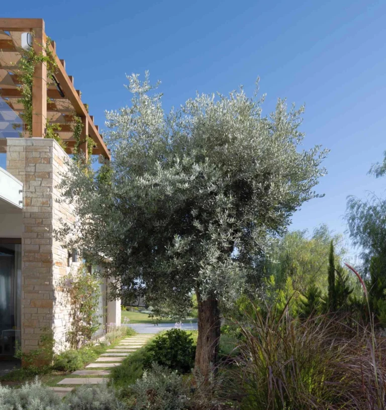 4 Bedroom House for Sale in Pegeia, Paphos District