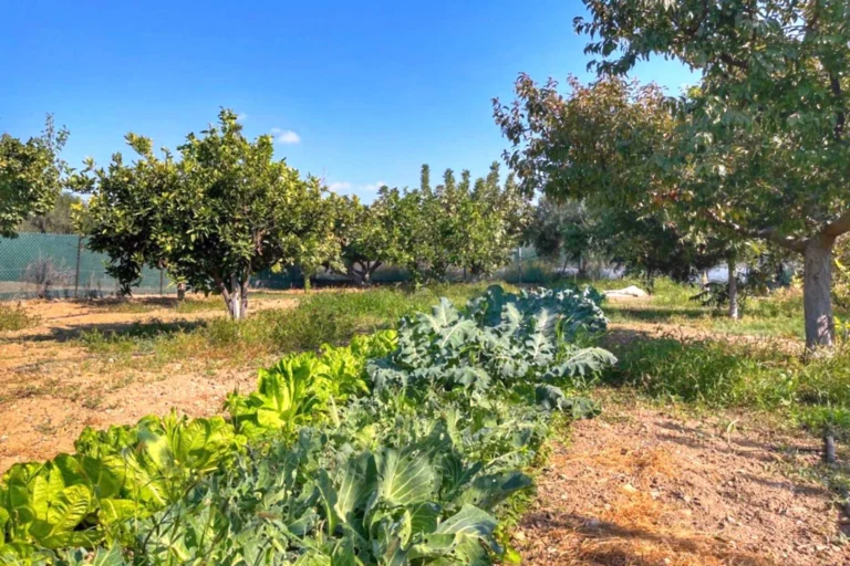 3 Bedroom House for Sale in Maroni, Larnaca District