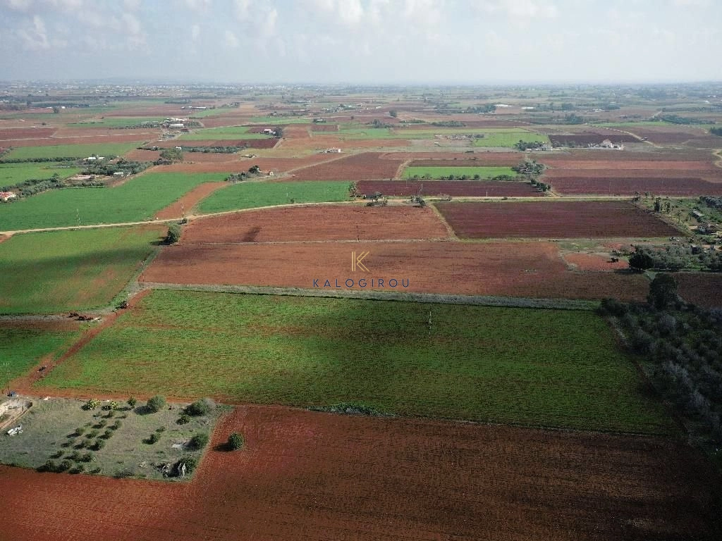 6,074m² Plot for Sale in Avgorou, Famagusta District
