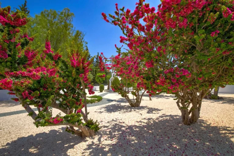 5 Bedroom House for Sale in Kouklia, Paphos District