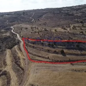 8,696m² Plot for Sale in Agia Varvara, Paphos District
