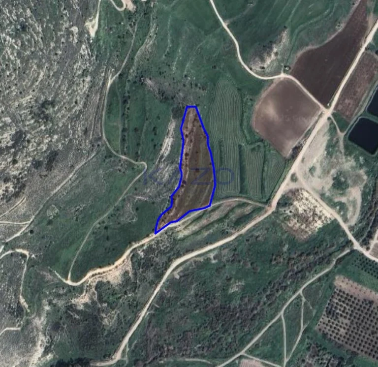 8,696m² Plot for Sale in Agia Varvara, Paphos District