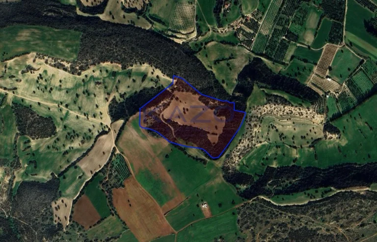 58,529m² Plot for Sale in Agios Theodoros, Larnaca District