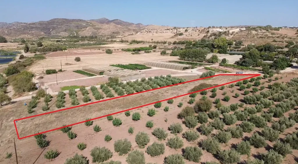 3,345m² Plot for Sale in Agia Varvara, Paphos District