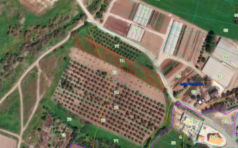 3,345m² Plot for Sale in Agia Varvara, Paphos District