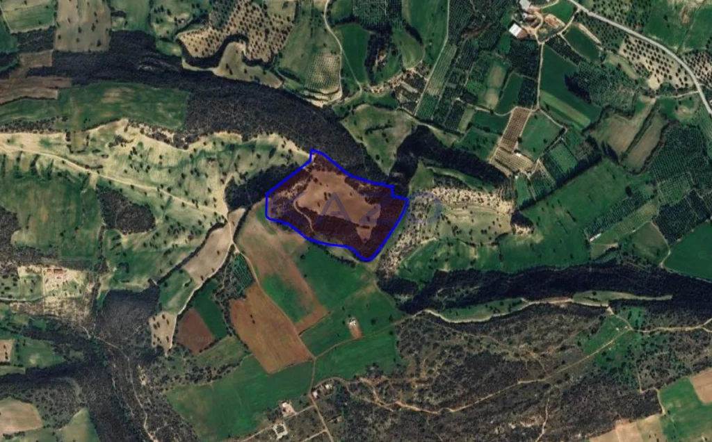 58,529m² Plot for Sale in Agios Theodoros, Larnaca District