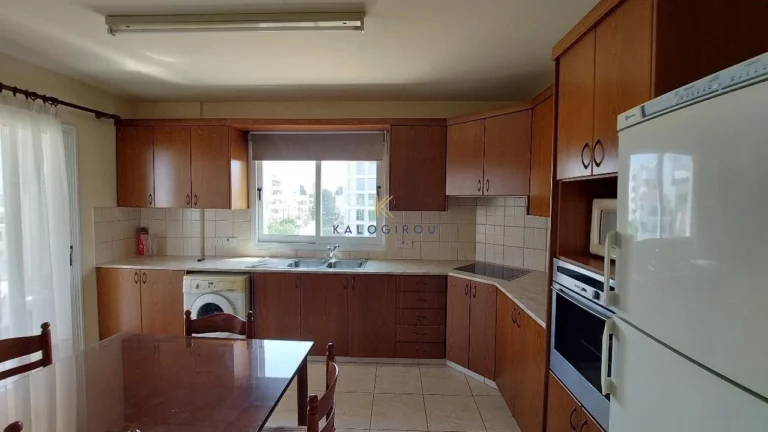 3 Bedroom Apartment for Rent in Larnaca District