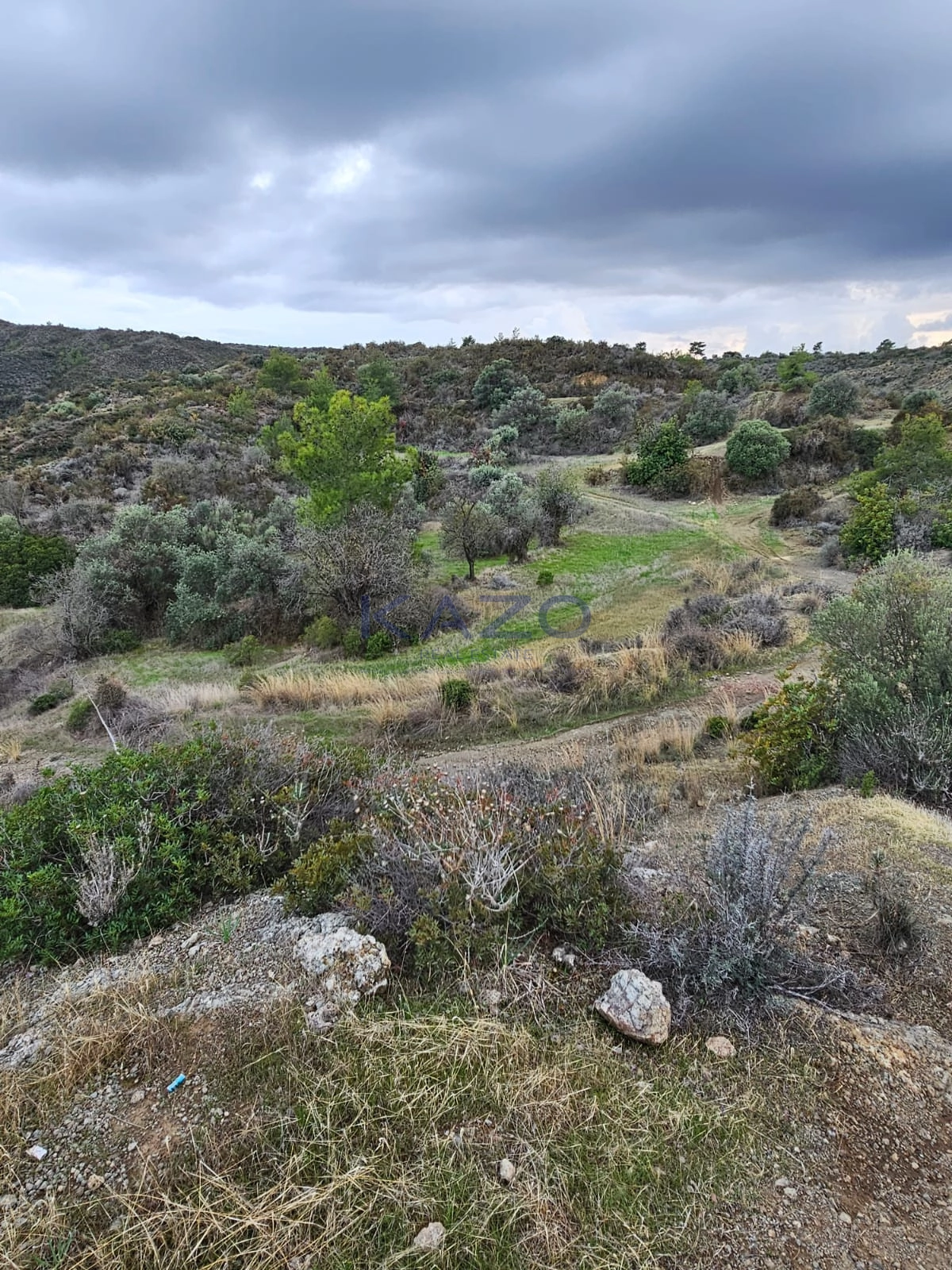 12,145m² Plot for Sale in Asgata, Limassol District