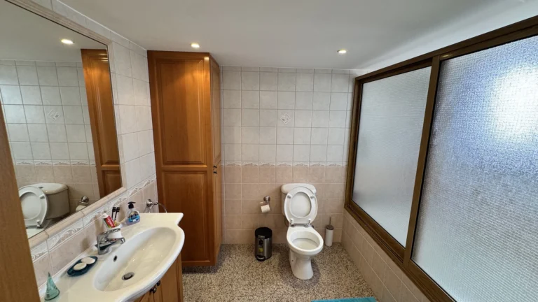 3 Bedroom House for Rent in Apesia, Limassol District