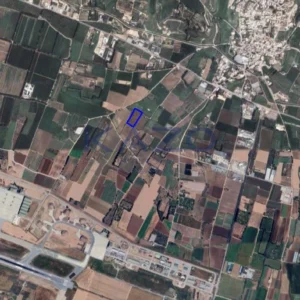 9,031m² Plot for Sale in Timi, Paphos District