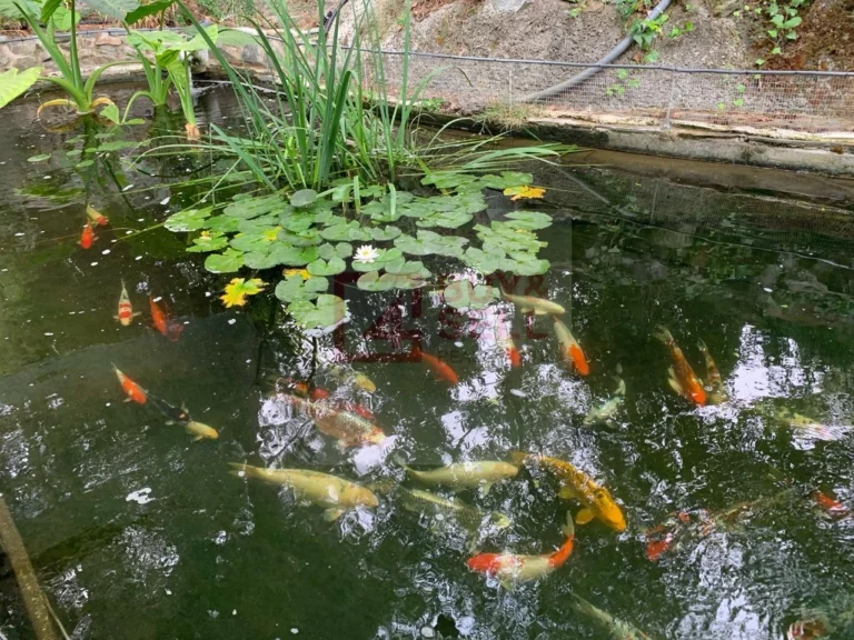 3 Bedroom House for Rent in Kapedes, Nicosia District