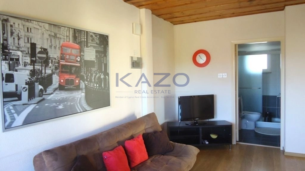 1 Bedroom Apartment for Rent in Limassol District